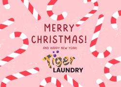 Tiger Laundry Services