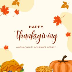 Amega Quality Insurance Agency