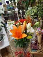 Tiger Lilly Florist & Gifts