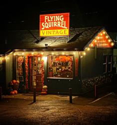 Flying Squirrel Vintage