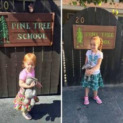 Pine Tree Preschool