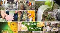Forever Living Aloe Vera Products San Diego CA USA
