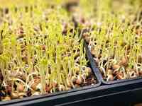 Topping Out Farms