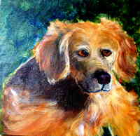 Canvas Canines, custom Pet Paintings