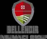 Bellendir Insurance Group