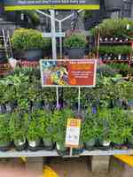 Garden Center at The Home Depot