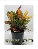 Spanish River Nursery Inc