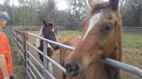 Horse Creek Equestrian Center Inc