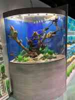 Koi Smart Pond & Aquarium Supply Store