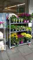 Waitrose & Partners Coulsdon
