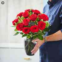 Carol's Florist (Manchester) Ltd.