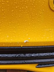 Carline Paint Repair