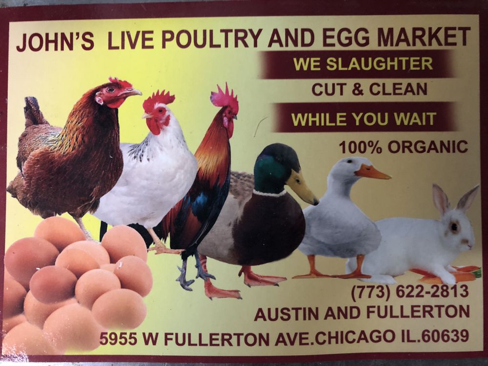 John's Live Poultry
