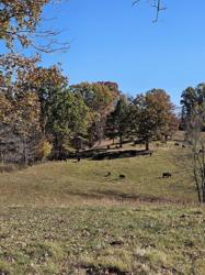 Big Oak Farm Freezer Beef