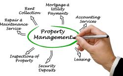 Adam Scott Properties & Management