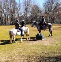 Arrowmont Stables & Cabins