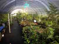 Gethsemane Garden & Nursery