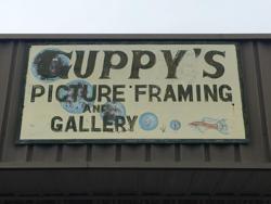 Guppy's Gallery