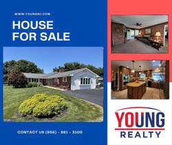 🏠 Young Realty