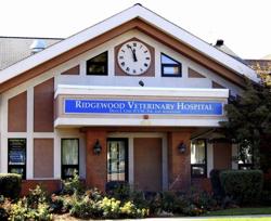 VCA Ridgewood Veterinary Hospital