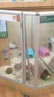 Pets at Home Thetford