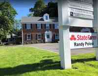 Randy Pelosi - State Farm Insurance Agent