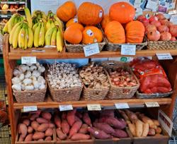 Trillium Natural Foods Organic Grocery