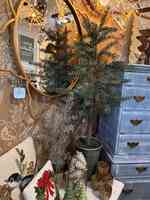 For the Nest at Downingtown Vintage