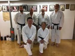 Ueshiro Okinawan Karate Family Club