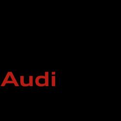 Audi on demand Car Rental