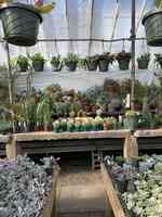 Peckham's Greenhouse
