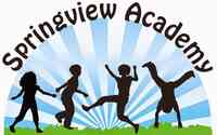 Springview Academy
