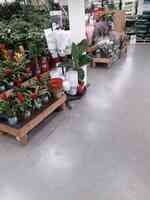 Homebase - Ewell