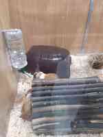 Pets at Home Godalming