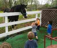 Applegate Farms Childcare
