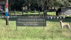Morrison Custom Saddlery