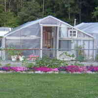 Stitzer's Greenhouses