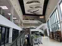 John Lewis & Partners