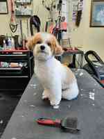 Mary's Dog Grooming and Photography