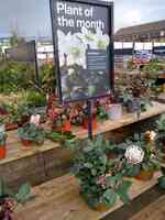 B&Q Devizes