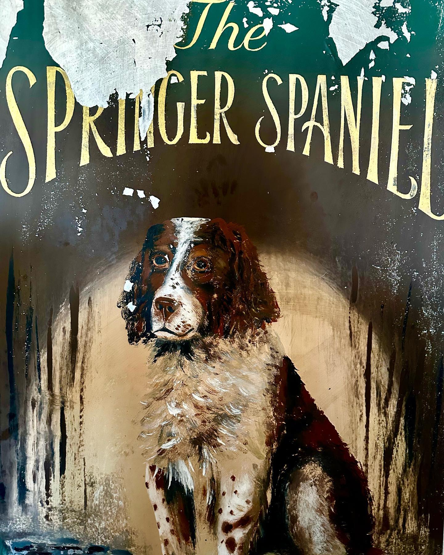 The Springer Spaniel
