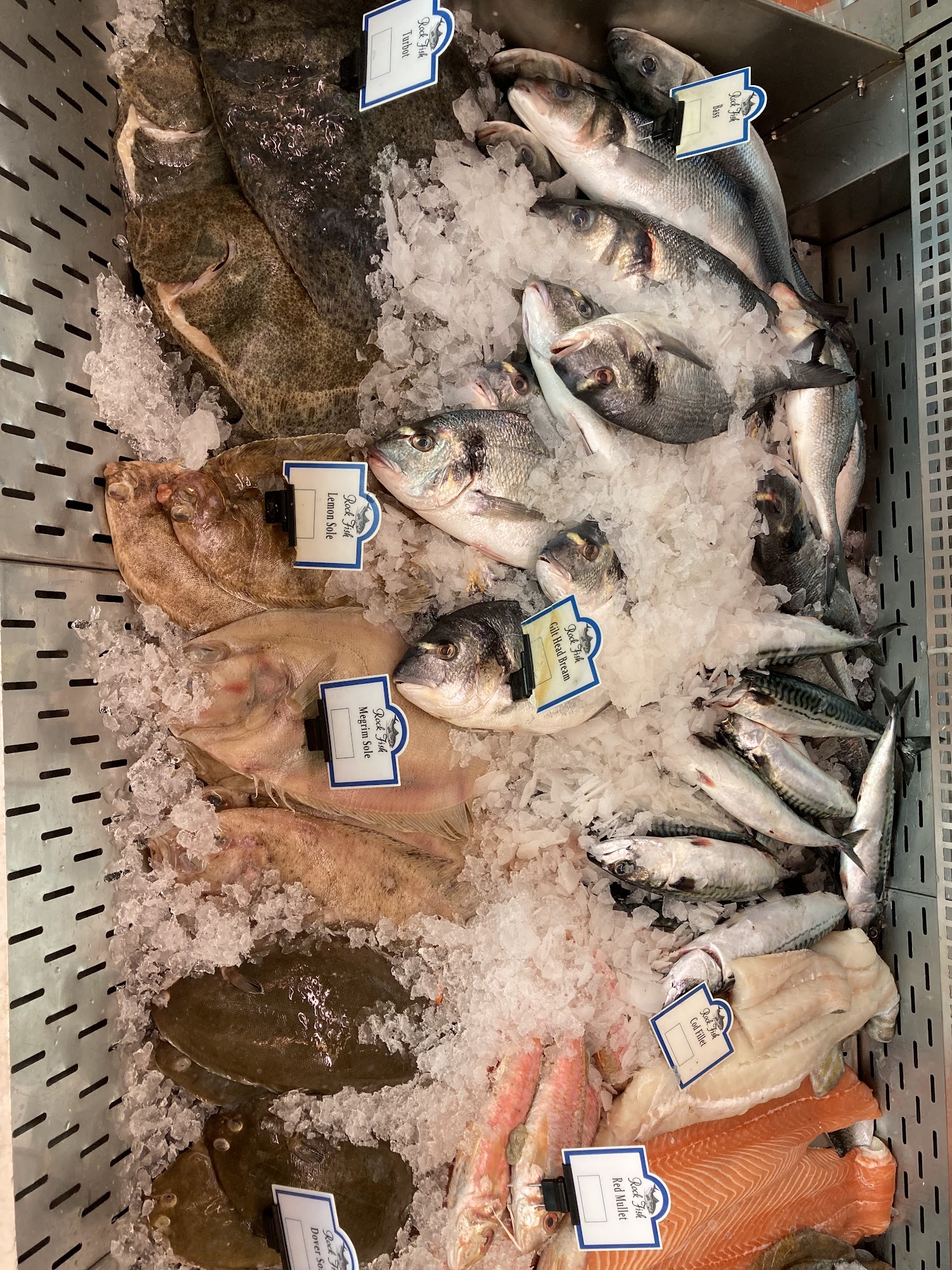 Rockfish