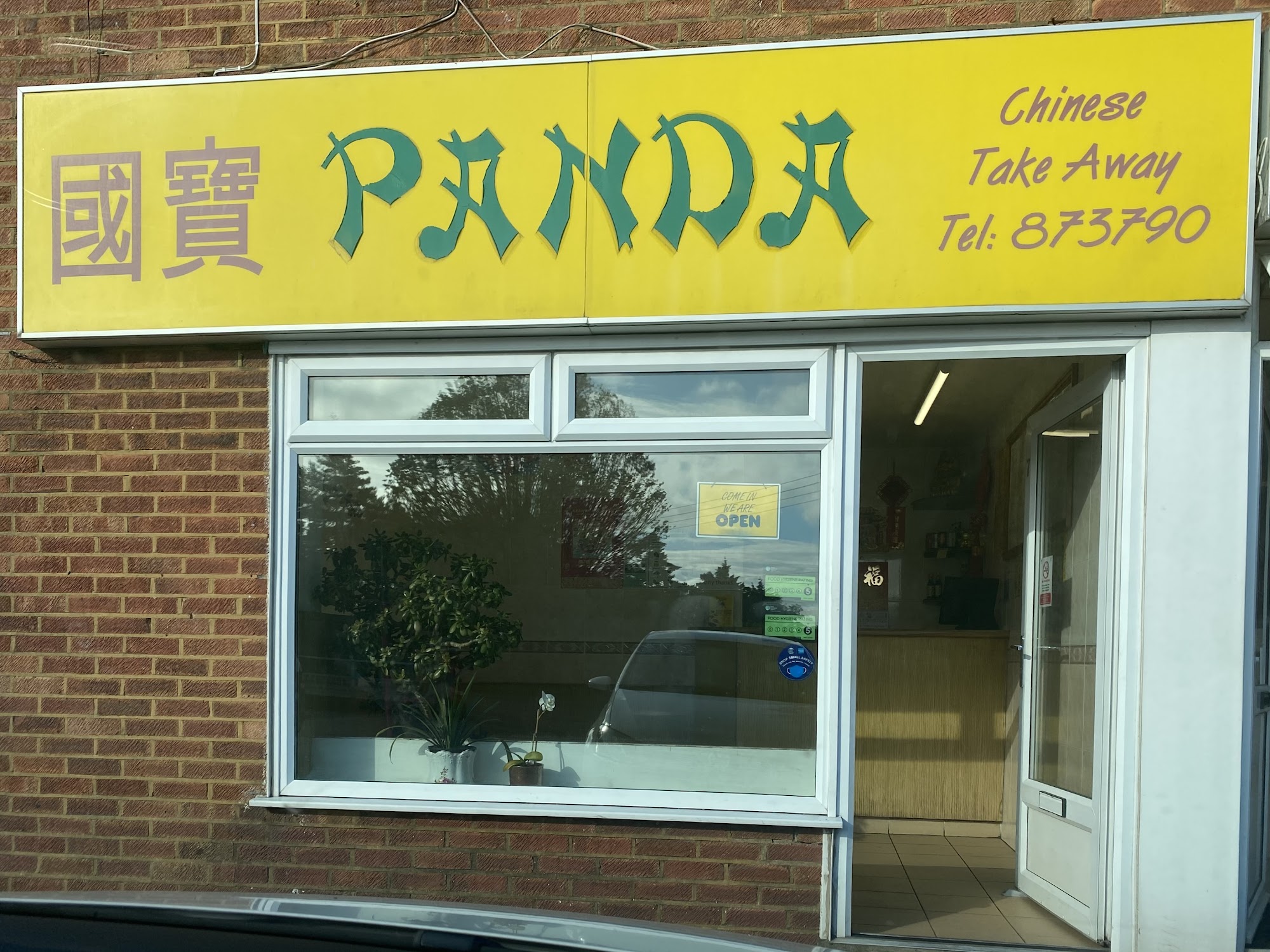 New Panda