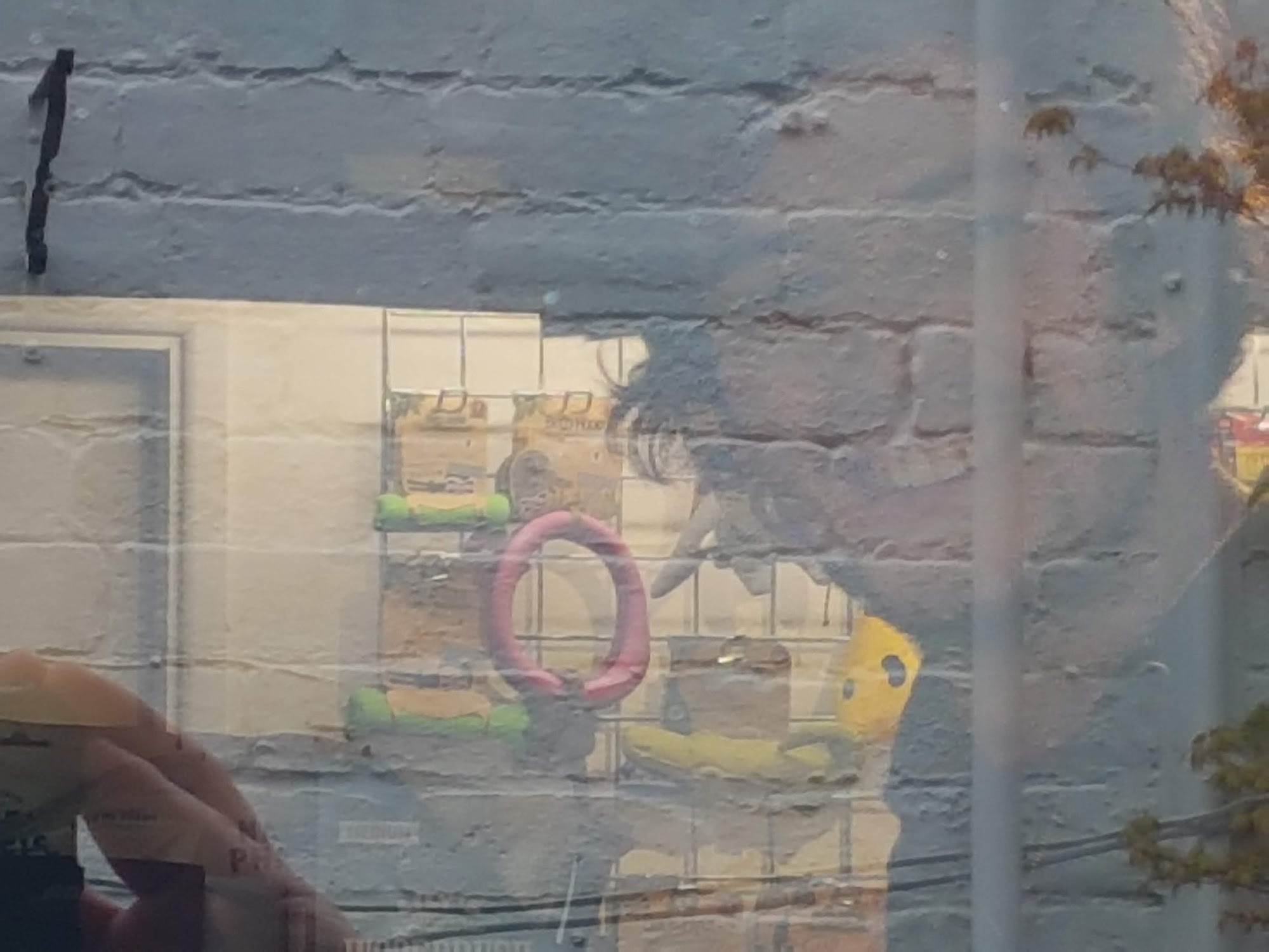 The Ledbury Pet Co.
