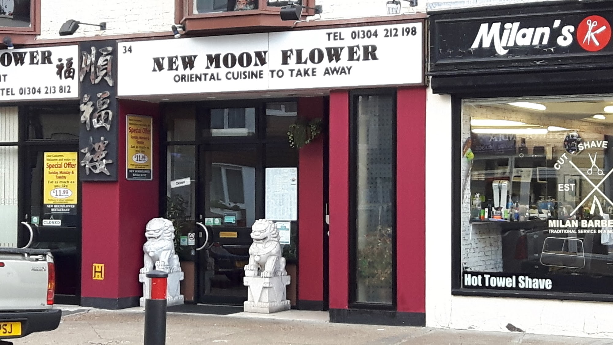 New Moon Flower