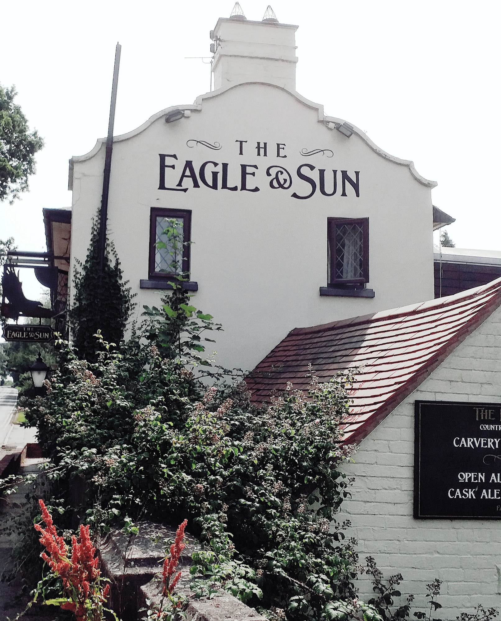 Eagle and Sun