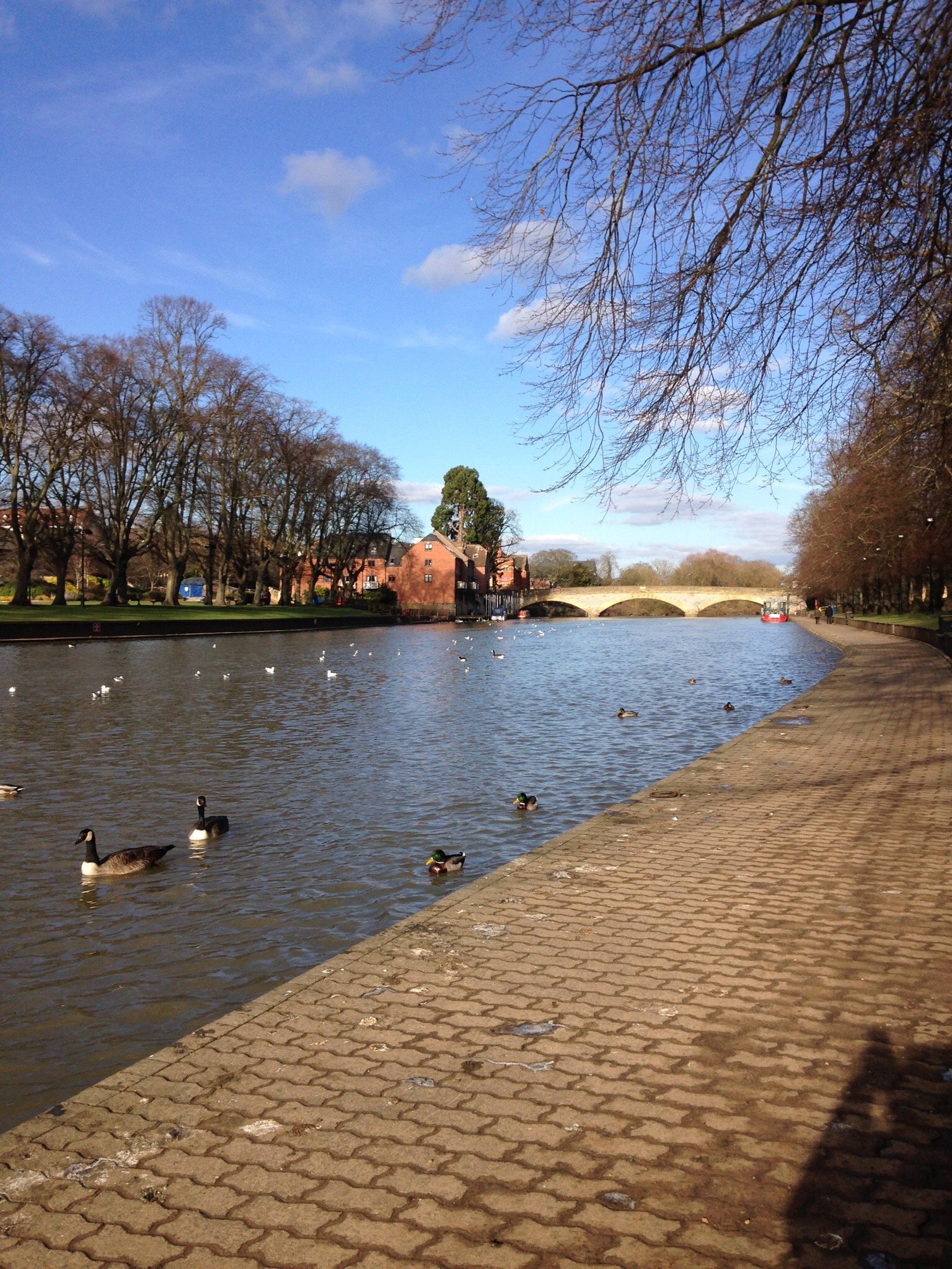 River Avon