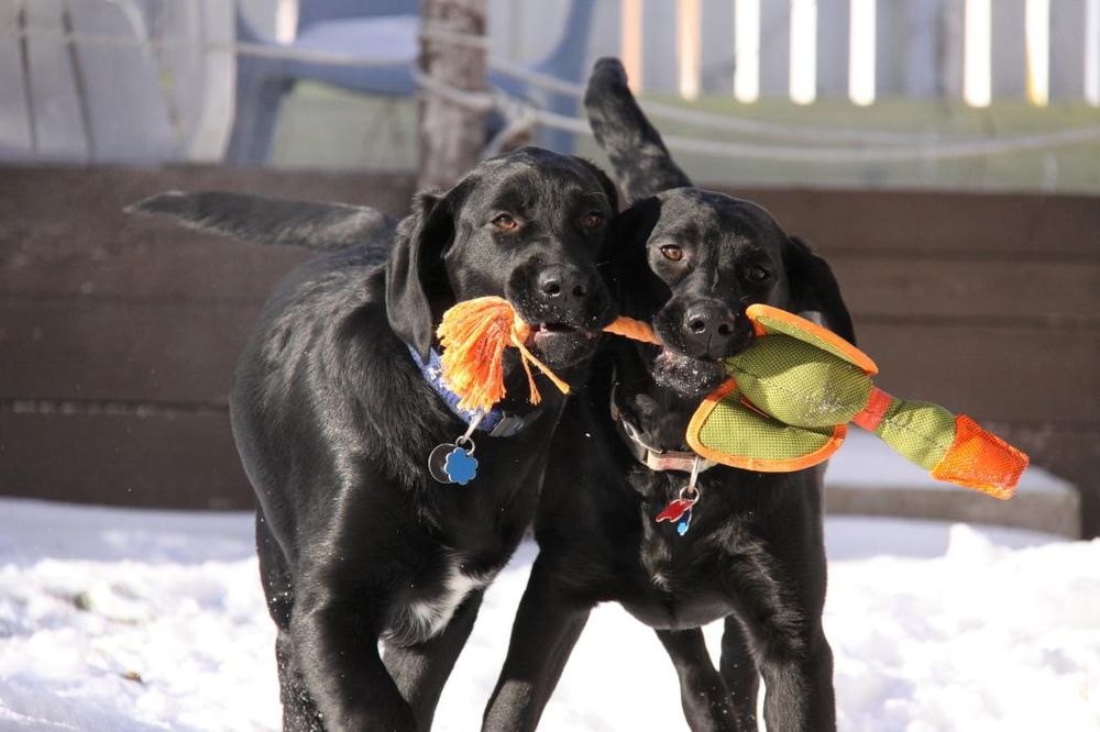 Photo credit: 