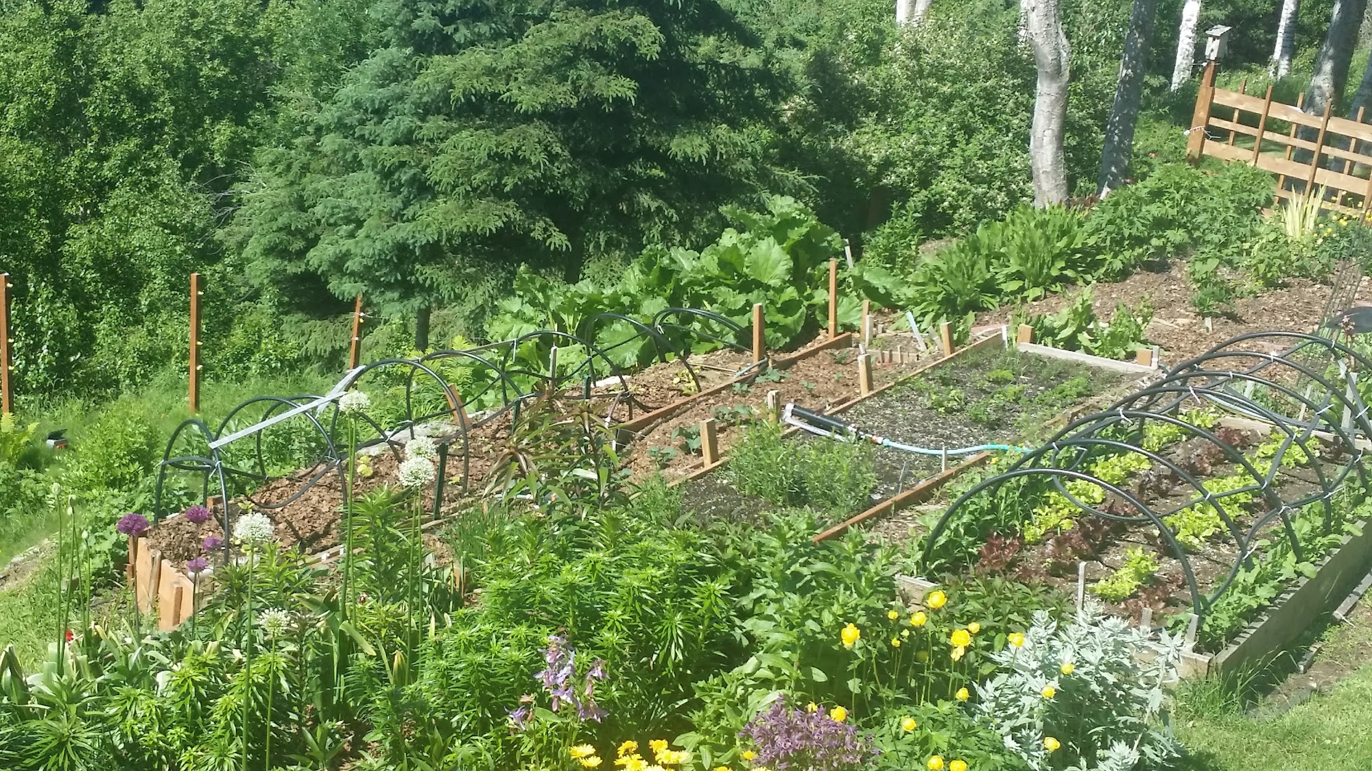 Bluenose Snowplowing