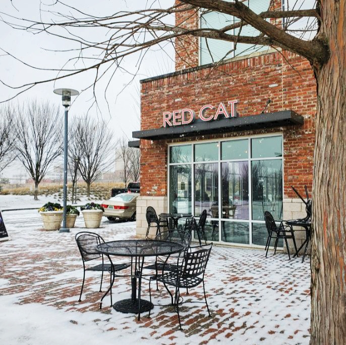 The Red Cat @ Railroad Park